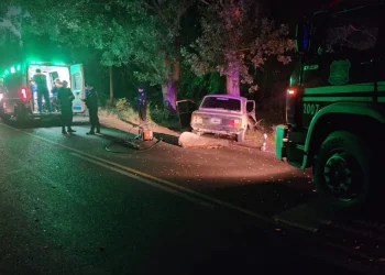 Un muerto por el choque de un auto contra un árbol en San Martín