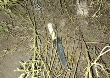 Un trabajador golondrina fue asesinado tras una riña en Tupungato