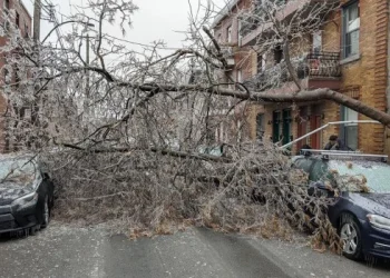 Una tormenta de nieve en Canadá dejó un saldo de dos muertos y un millón de personas sin luz