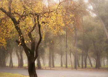 Un jueves otoñal en la provincia de Mendoza