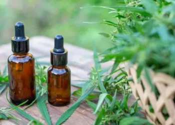 Mendoza le pidió a Nación la reglamentación de la Ley de cannabis medicinal y cáñamo