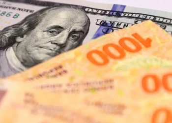 Sin moneda propia: la Argentina es el único país de la región que tiene al dólar como primera opción de ahorro