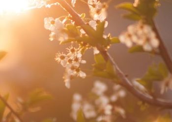 Temperaturas primaverales en pleno otoño: Este es el pronóstico para la provincia de Mendoza