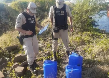 Secuestran 60 litros de ketamania en Misiones
