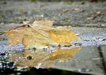 Pronóstico en la provincia de Mendoza: alerta amarilla por lluvias