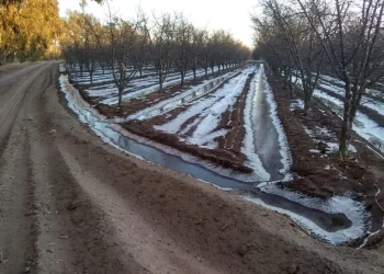 Ayuda por daños en cultivos: 2.000 productores aún no se anotaron para recibir el beneficio