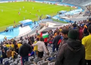 Detuvieron al hombre que mostró la bandera de Palestina en el partido Colombia-Israel