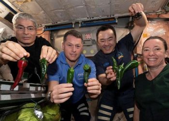 La NASA explora un «menú para astronautas» en el espacio profundo