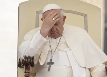 «La idea es ir a Argentina el año que viene, vamos a ver si se puede», anunció el Papa