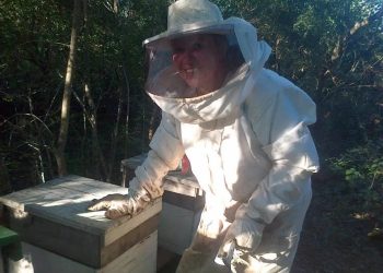 No sabía nada de abejas, su hijo la dejó a cargo de sus colmenas y lo que sucedió le cambió la vida