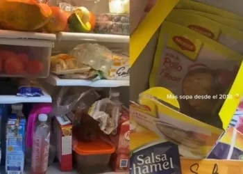 Viral: Quiso ayudar a sus abuelos ordenando su heladera y lo que encontró en su interior la dejó asqueada