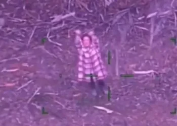 El caso que sorprende al mundo: Se perdió en un bosque durante cinco días y sobrevivió comiendo chupetines y tomando vino