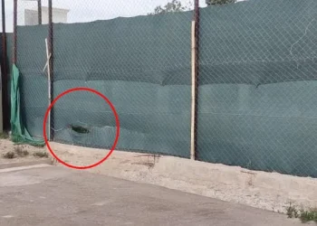 Siete malvivientes robaron 50.000 dólares luego de atacar a una mujer y a su hija en un barrio privado de Luján