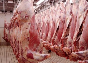 El ingreso de dólares por exportaciones de carne vacuna cayó un 17% en el primer cuatrimestre