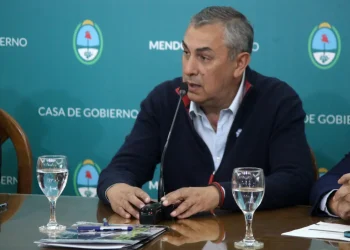 Tarjetas: Vaquié aseguró que las medidas anunciadas por Massa son “insignificantes”