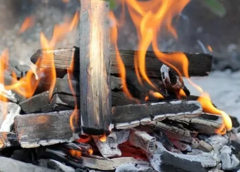 Un hilo de Twitter despertó la polémica: por qué en Mendoza el asado se hace con leña