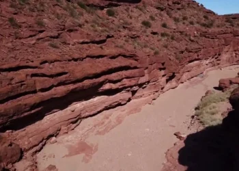 Una bolsa con cientos de huesos humanos junto al río: el misterio que desvela a un pueblo de Neuquén