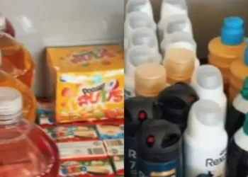 Una chilena cruzó a Mendoza para comprar mercadería, mostró todo lo que se llevó y hasta respondió a las chicanas: «Decime vos si conviene»