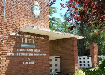 Se desarrollará hoy un curso sobre “reconocimiento de plantas nativas y su uso ornamental”