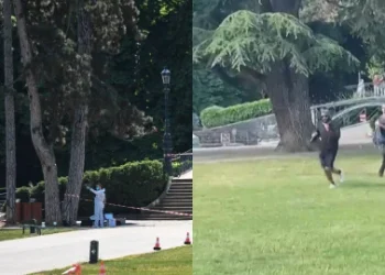 Terror en Francia: Varios niños heridos tras un ataque con cuchillo en un parque