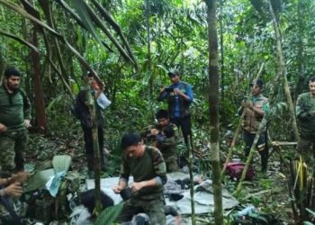 Milagro en la selva: hallan con vida a los cuatro niños perdidos en Colombia tras un accidente aéreo