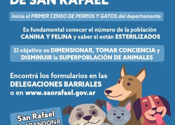 El Municipio lanzó el primer censo de perros y gatos
