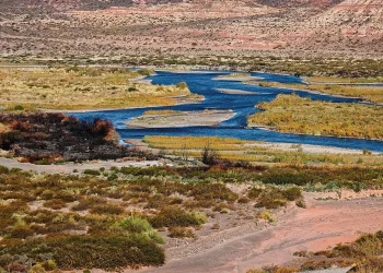 Diputados dio media sanción al proyecto Pata Mora en Malargüe