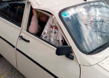 Las Paredes: cayó un árbol y lesionó a una mujer