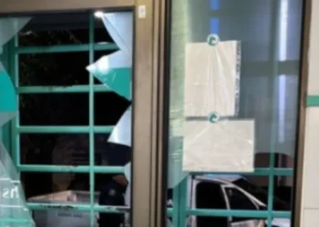 Relatos Salvajes: Llevó a su perro a la veterinaria, se cansó de esperar su turno y destrozó la vidriera