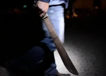 Neuquén: sorpresa y miedo por «el loco del machete»