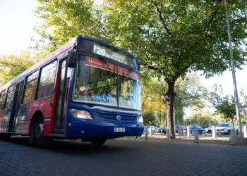 PASO 2023: cómo funcionará el transporte público este domingo