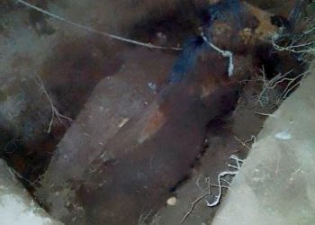 Bomberos voluntarios de Salto de las Rosas rescataron una yegua que cayó a un pozo ciego