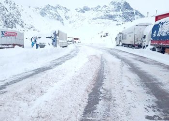 Explican que el Sistema Aduanero en el paso Cristo Redentor provoca excesivas demoras en el transporte