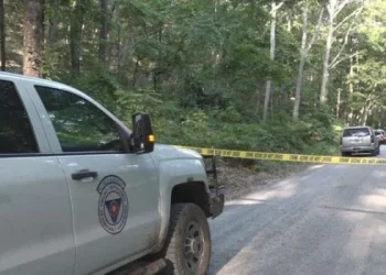 Una avioneta que sobrevolaba Washington DC se estrelló después de ser perseguida por cazas