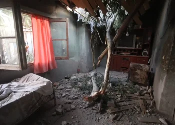 “Nos salvamos de milagro”: un árbol cayó sobre el techo de una vivienda en Las Heras