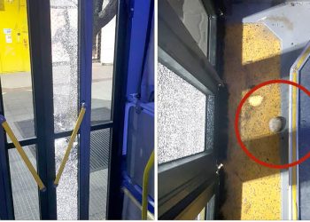 Vandalismo contra el transporte público: “Si tenemos que sacar todas las líneas de algunos barrios, las vamos a sacar”