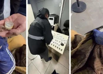 Provincia de Mendoza: Camuflado entre chilenos que llegaban en un tour de compras, un argentino intentó ingresar al país 1.620 semillas de marihuana