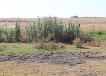 La Federación Agraria alertó sobre la crisis en el campo y convocó a asambleas de productores