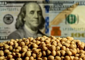 El Gobierno implementará un dólar más alto para algunas exportaciones del agro y sumará el impuesto PAIS a las importaciones