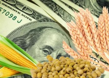Los precios luego de las medidas: cómo impactará el nuevo “dólar maíz” en la carne, la leche y el pollo