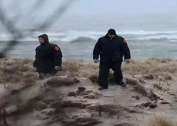 Detuvieron al acusado de los asesinatos en serie que inspiraron una película