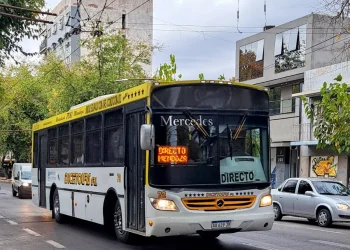 El Gobierno invertirá más de 14 millones para instalar GPS en colectivos de media y larga distancia
