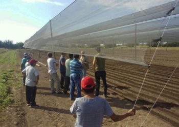 El Fondo de la Transformación amplió los créditos blandos para malla antigranizo