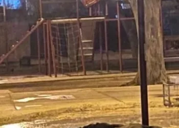 Llevó a pasear a sus perras a una plaza de Las Heras y murieron electrocutadas