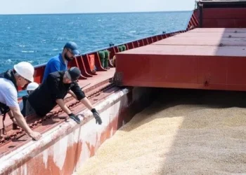 Malestar en Occidente por la negativa de Rusia a renovar el acuerdo para la salida de granos