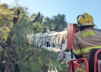 Bomberos de Salto de las Rosas siguen realizando poda en altura de forestales para la compra de combustible en el cuartel