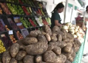 Preocupación por el aumento del precio de la papa por la sequí