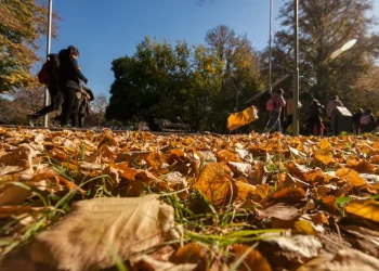 Pronóstico en la provincia de Mendoza: mañana fresca e inestable en alta montaña