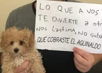 Trabajaba en una panadería y la echaron por compartir un meme: Quería cobrar el aguinaldo