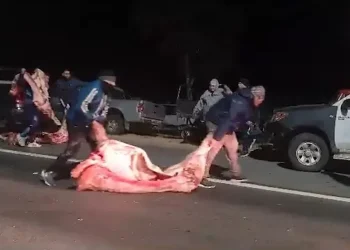 San Luis: Un camión que transportaba 20.000 kilos de carne volcó y fue saqueado por los vecinos